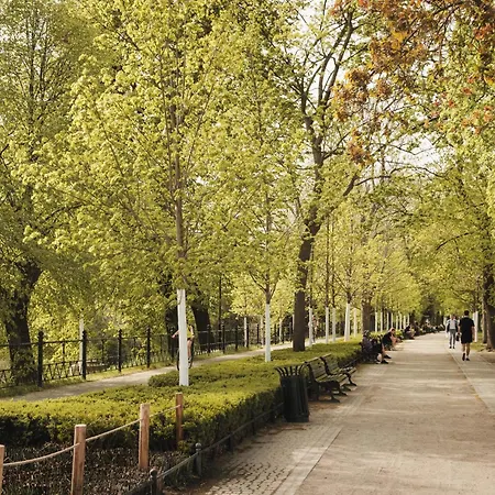 Stylowe Gniazdko Z Widokiem *